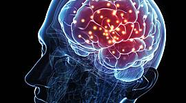 Timeline: Special Education