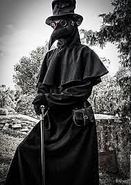 Mitjans segle XIV: Arribada Pesta Negra a Europa