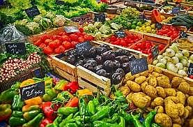 Crecimiento de los alimentos orgánicos