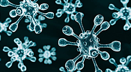 Timeline: CORONAVIRUS