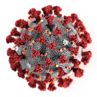 Timeline: The coronavirus in Florida