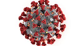 Timeline: The coronavirus in Florida