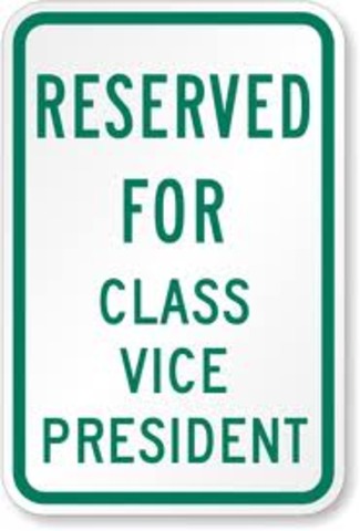 Freshman Vice President.