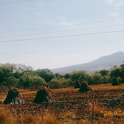 Timeline: Mi vida y personalidad