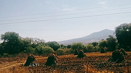 Timeline: Mi vida y personalidad