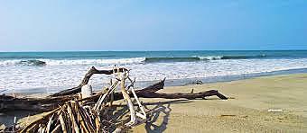 PROYECTO LIMPIEZA DE PLAYA