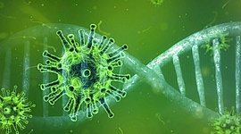 Timeline: CORONAVIRUS Dentro del Cuerpo