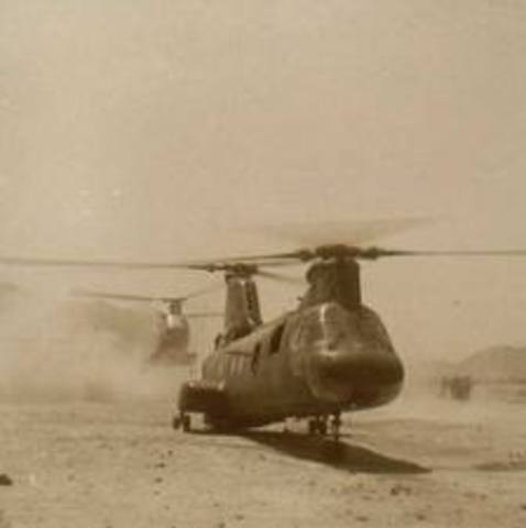 Operation Chopper