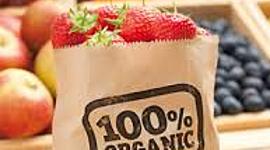 Timeline: La Cocina orgánica surge debido a: