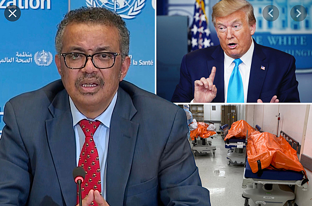 Donald Trump decided to stop American funding from the W.H.O