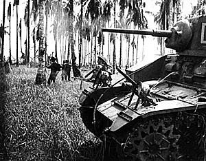 Campaña de Papua Nueva Guinea