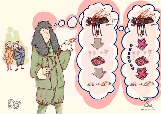 TEORIA GENERACION ESPONTANEA ARISTOTELES