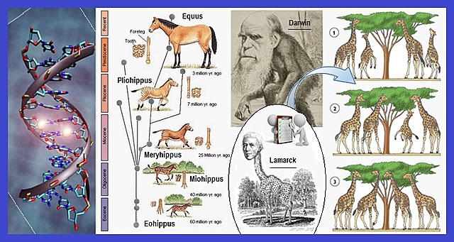 TEORIA DEL TRANFORMISMO LAMARCK
