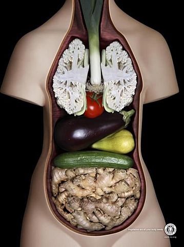 ¿Pesticidas en el cuerpo?
