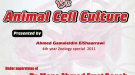 Timeline: animal cell culture