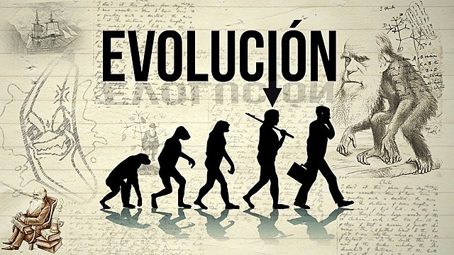 TEORIA DE LA EVOLUCIÓN DARWINISMO