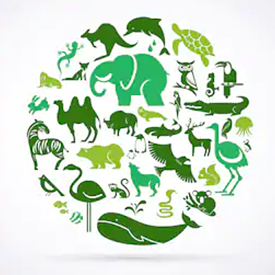 Timeline: Clasificación de los seres vivos