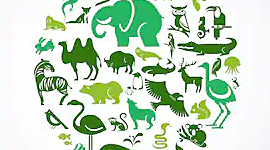 Timeline: Clasificación de los seres vivos