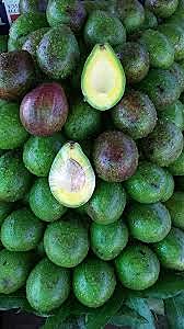 Avocado introduced to Mauritius
