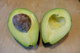 Avocado introduced to Brazil