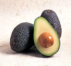 Avocado introduced to Israel