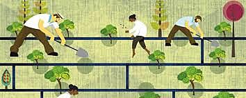 Constitución de 1811