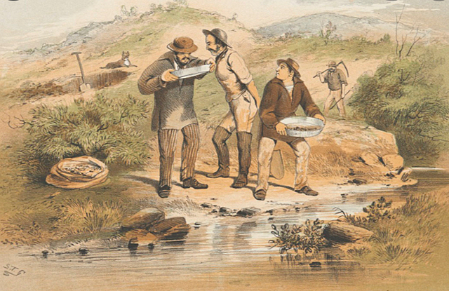 Gold discovered in Victoria