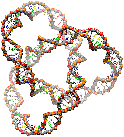 Desarrollo del individuo