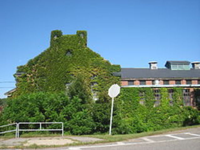 Massachusetts School for the Feeble Minded