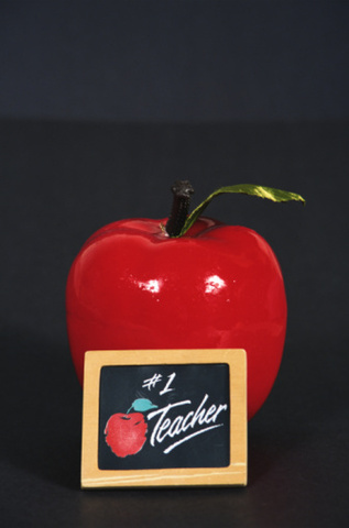 Search for teaching assistant jobs/volunteering at international schools