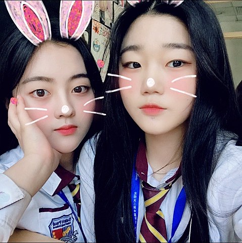 decided to study abroad