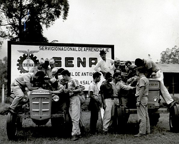 Primeras seccionales