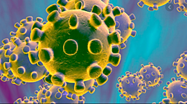 Timeline: EL CORONA VIRUS