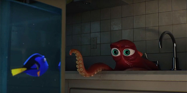 Dori entra  nel' acquario in quarantena