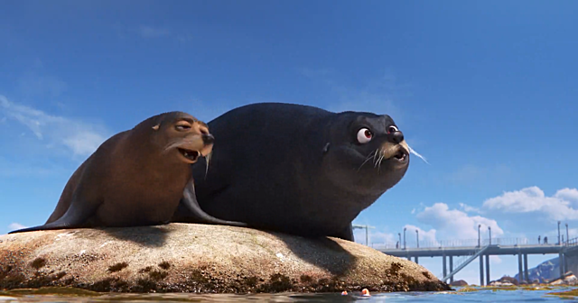 L'aiuto dai leoni marini