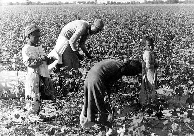 When Slaves Mainly Worked