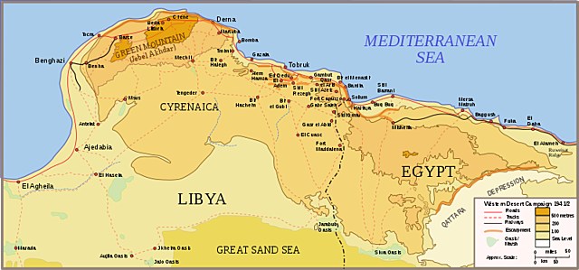 La Guerra del Desierto