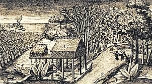 Comienzos del comercio del Cacao