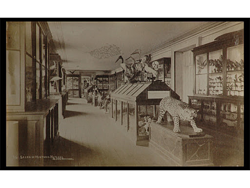 Se formaron colecciones de historia natural y de arte.