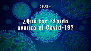 PRIMER FASE Así es la lucha entre el sistema inmune y el coronavirus