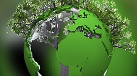 Timeline: Nature Doesn't Produce Waste Timeline