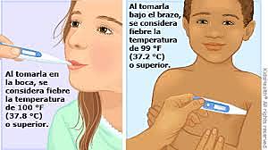 Día #4  SISTEMA TERMORREGULADOR DE LA TEMPERATURA CEREBRO!