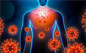 Día #9 LAS CÉLULAS  NK VIAJAN POR TODO EL CUERPO