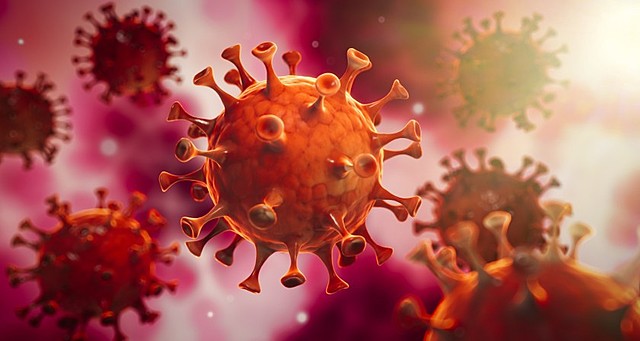 información sobre los coronavirus