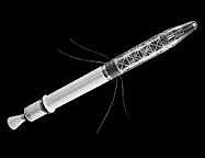 Explorer 1