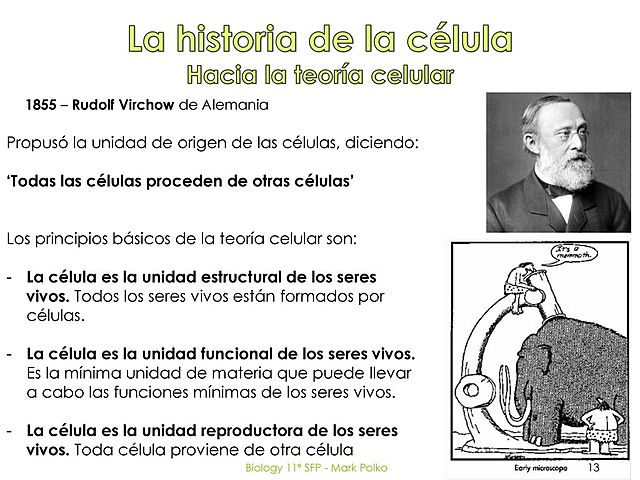 Rudolf Virchow
