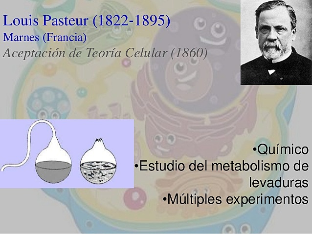 Louis Pasteur