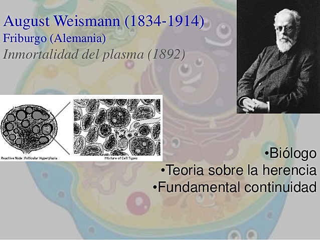 August Weismann