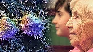 REFLEXIONES ! El sistema inmune también envejece...