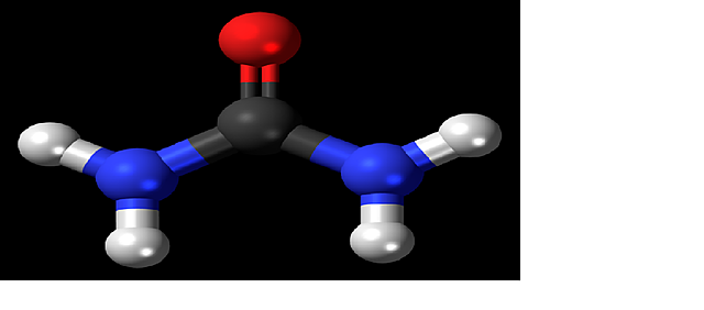 Síntesis de la urea